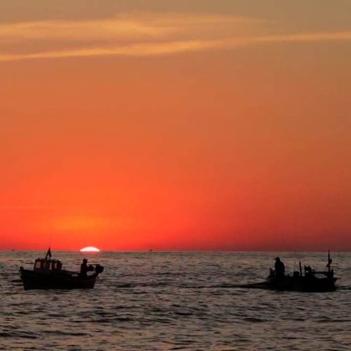 La Generalitat promueve el consumo de pescado de proximidad