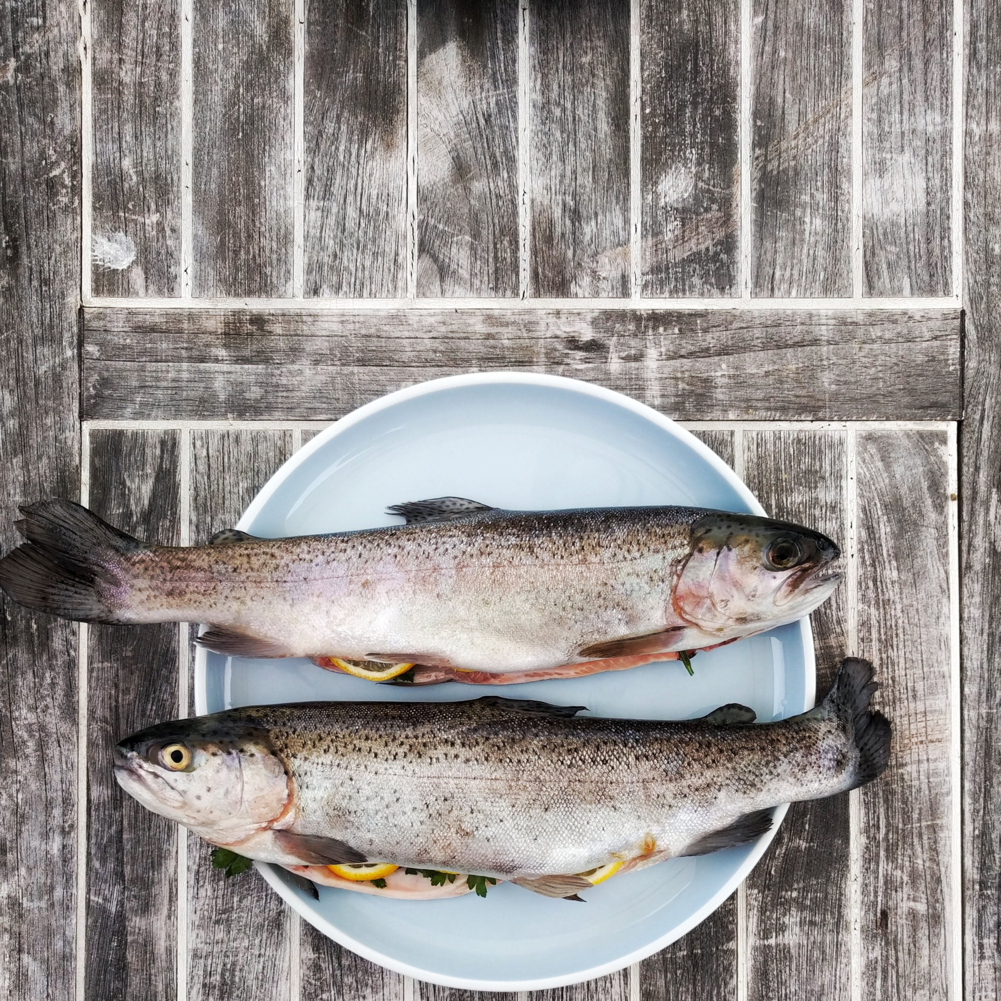 Científicos de Harvard descubren por qué el pescado es ahora más tóxico que nunca