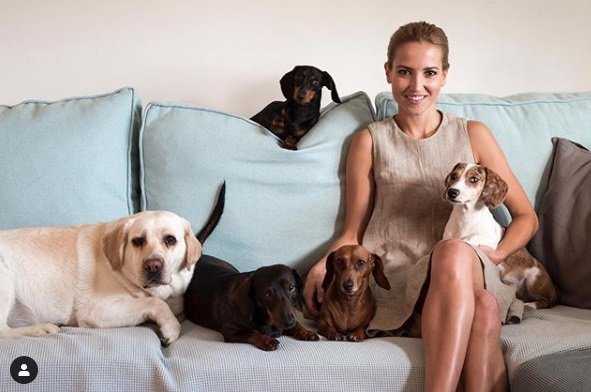 ana fernandez perros