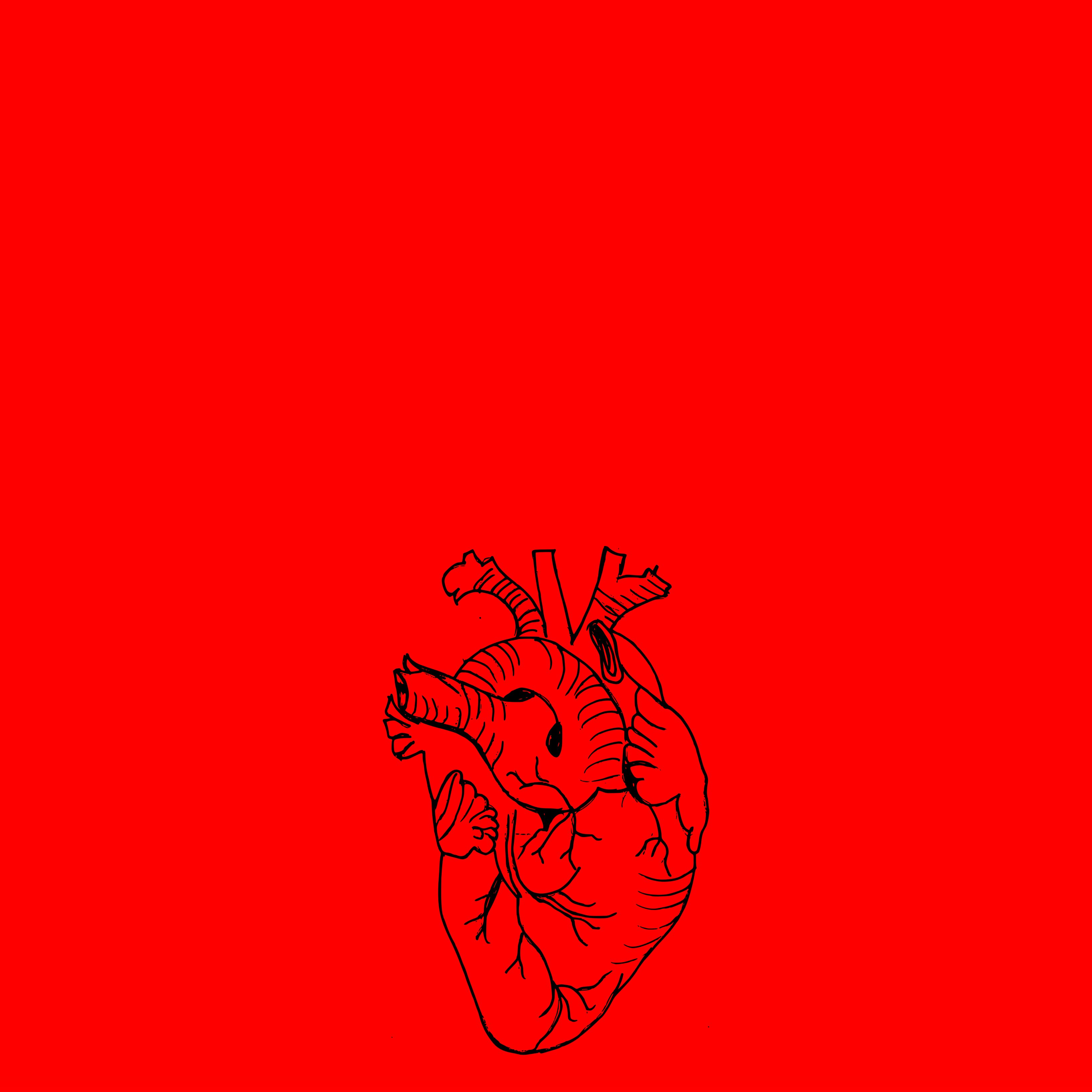 Alarma pel creixement continu de les malalties cardiovasculars