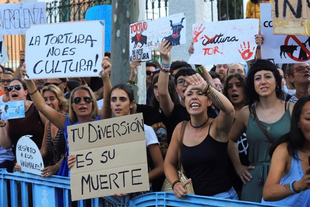 Protestas Palma Toros EFE