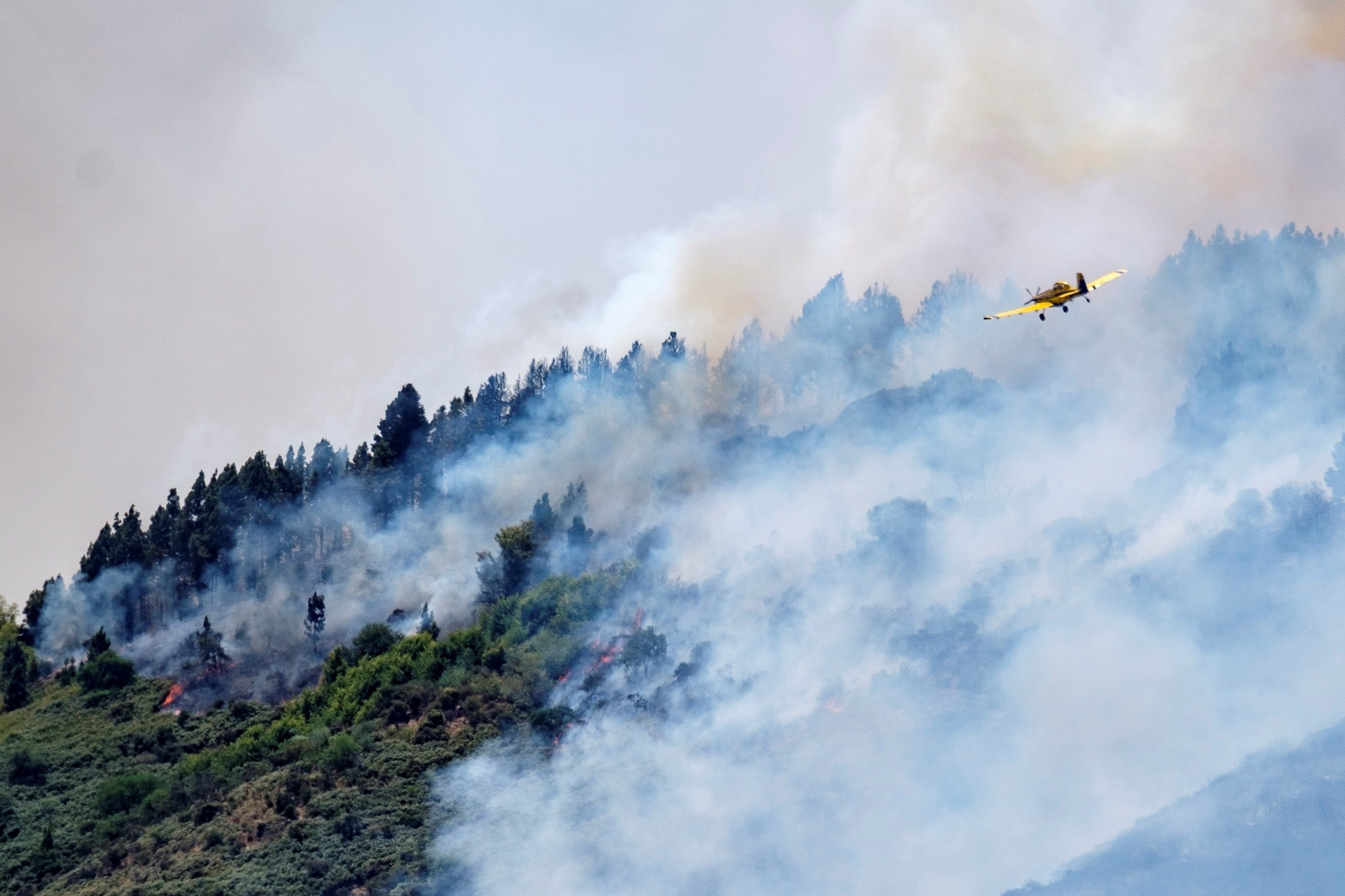 El Govern ofereix els Bombers per ajudar a extingir l'incendi de Gran Canària