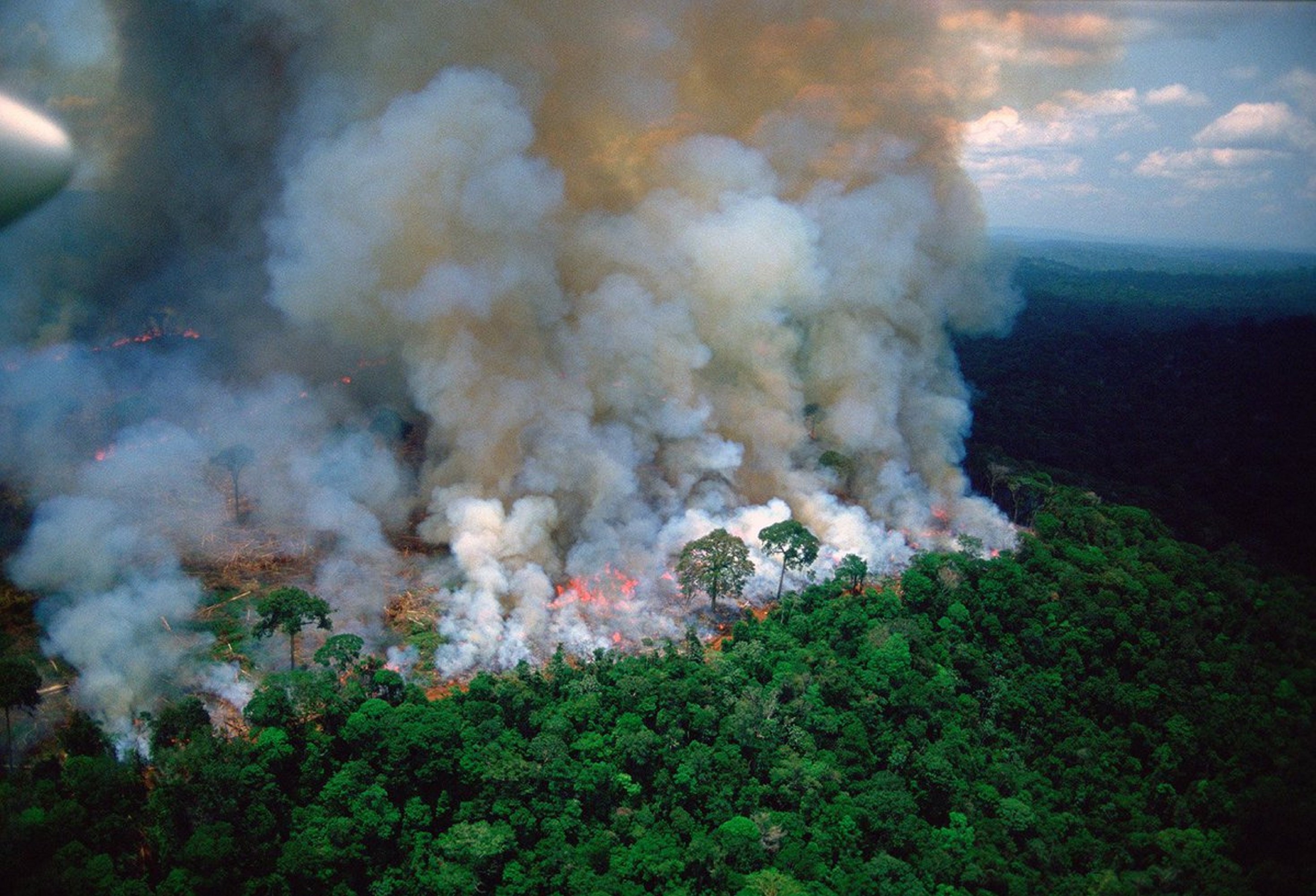 La selva del Amazonas quema a velocidad récord