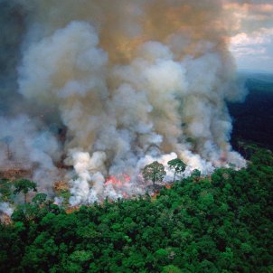 Amazones cremant @ climate crisis Amazones cremant @ climate crisis