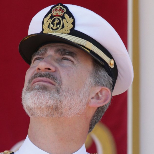 Felipe VI militar cara fàstic GTRES