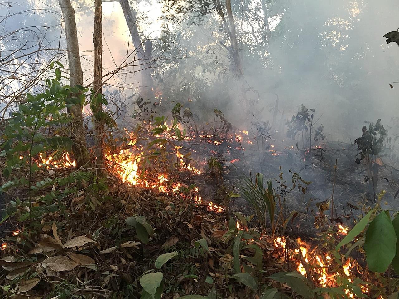 La Amazonia ya ha quemado un área equivalente a las comarcas de Girona