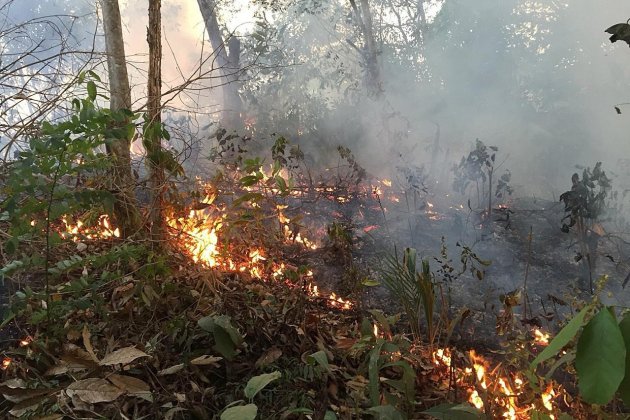 Incendio Amazonia - EFE