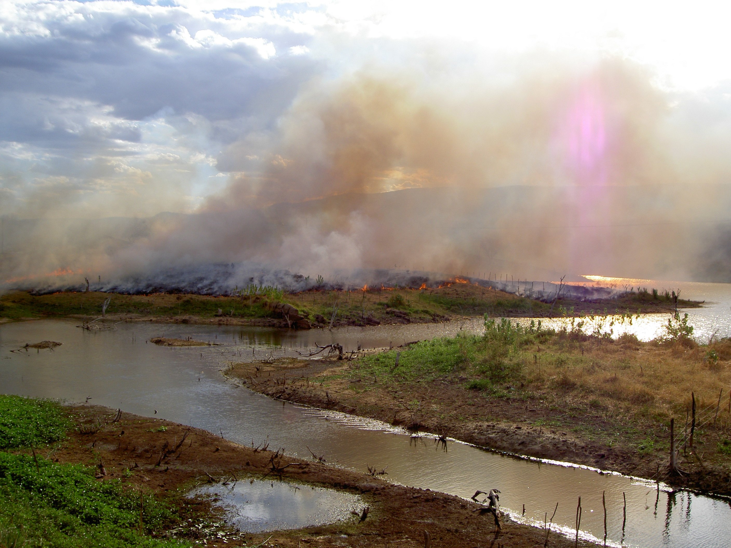 Quatre claus per entendre els incendis de l’Amazònia