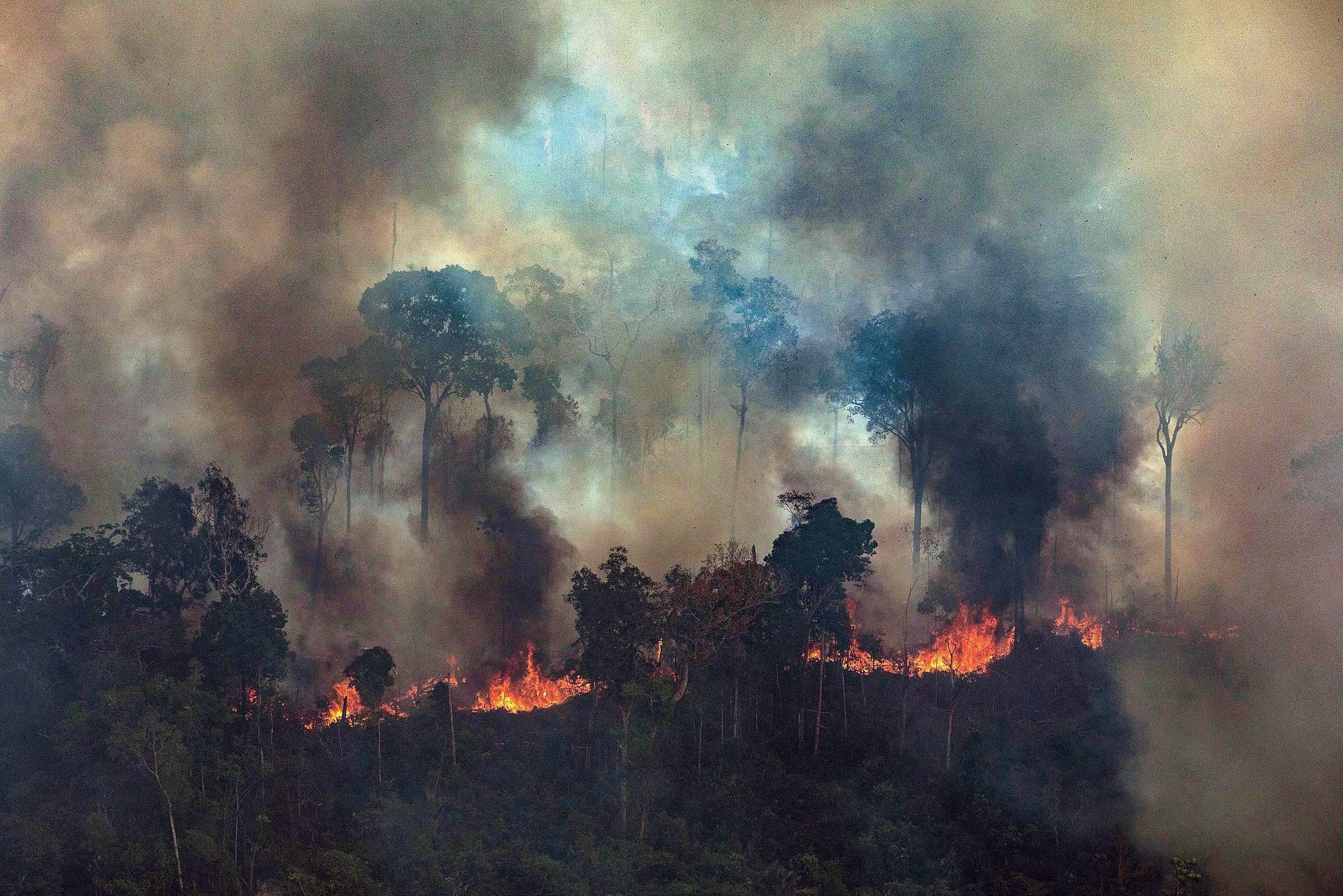 El Brasil cedeix a la pressió mundial i activa avions militars per apagar els incendis