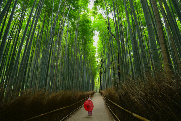 arashiyama - Unsplash