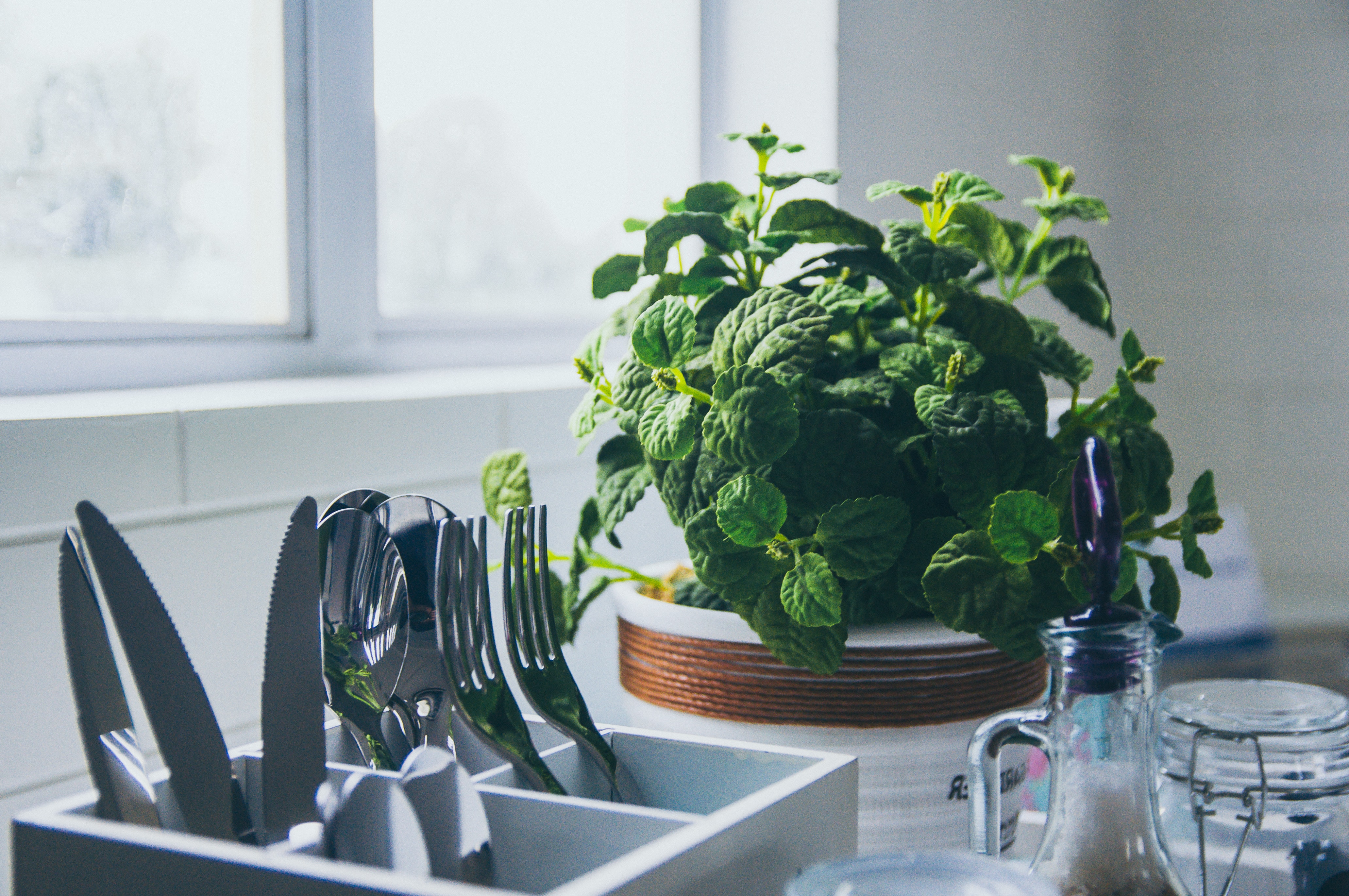 Consejos para reducir el plástico en la cocina