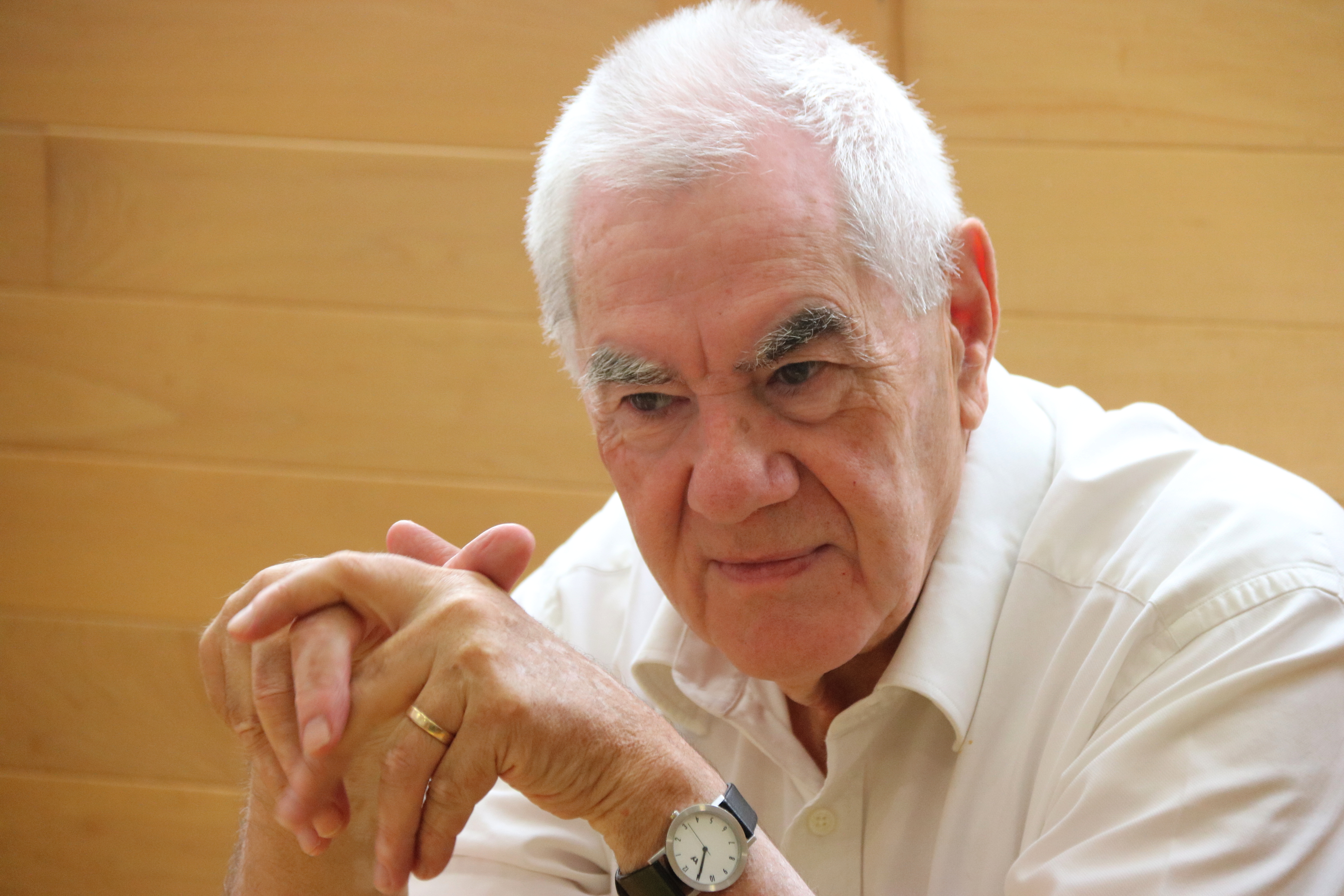 Maragall: "La Diada serà massiva encara que el clima sigui diferent"