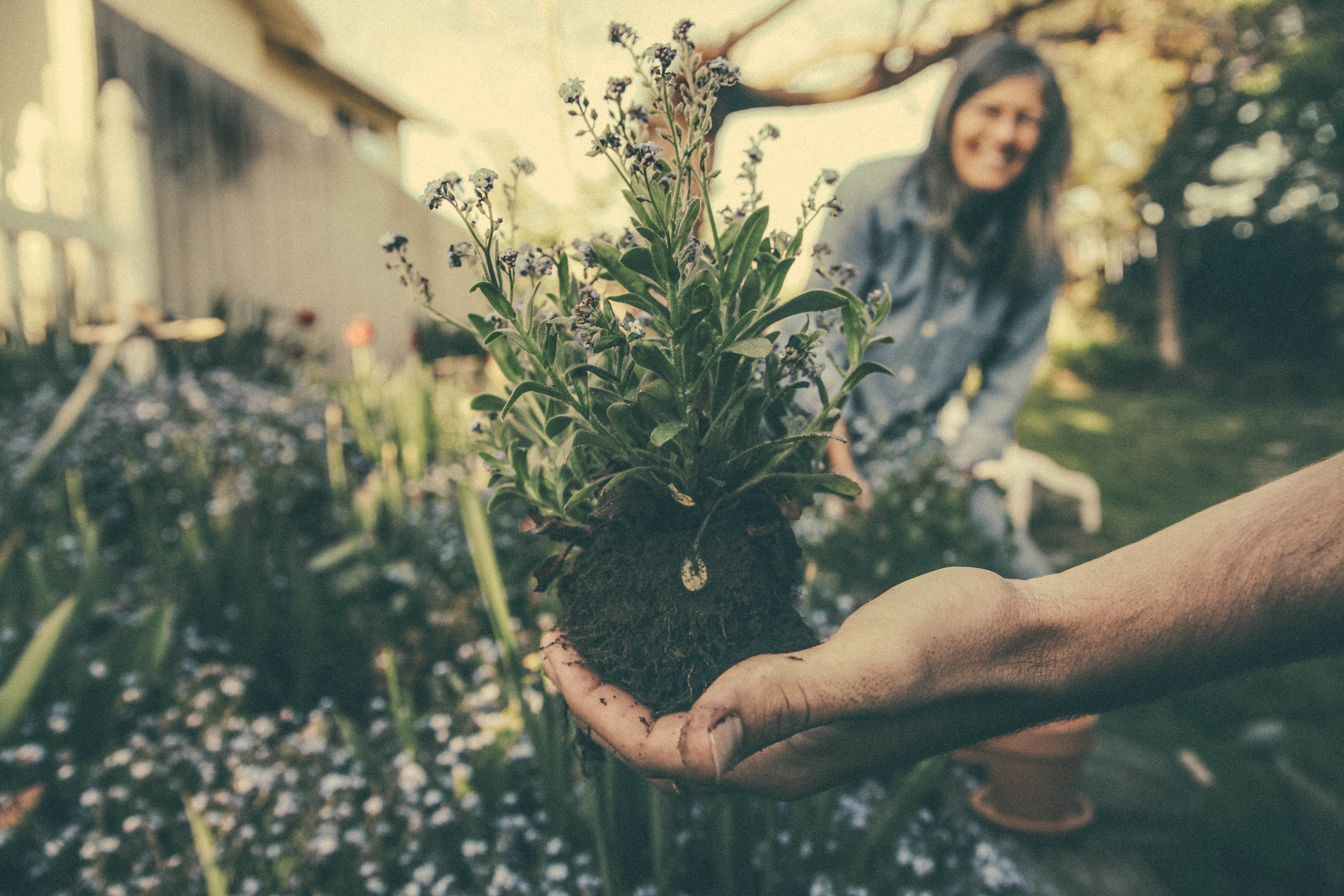 Consejos para reducir el plástico en el jardín