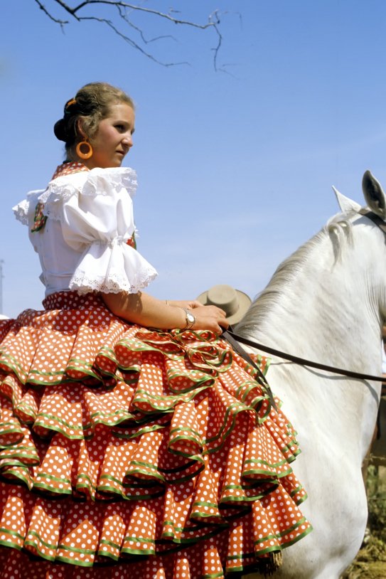 alumbra elena caballo gtres