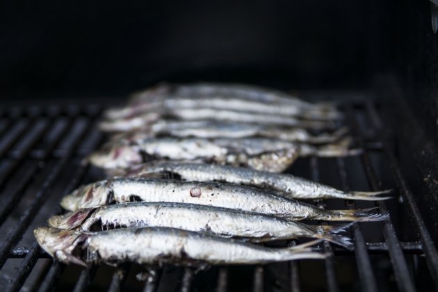 Sardinas