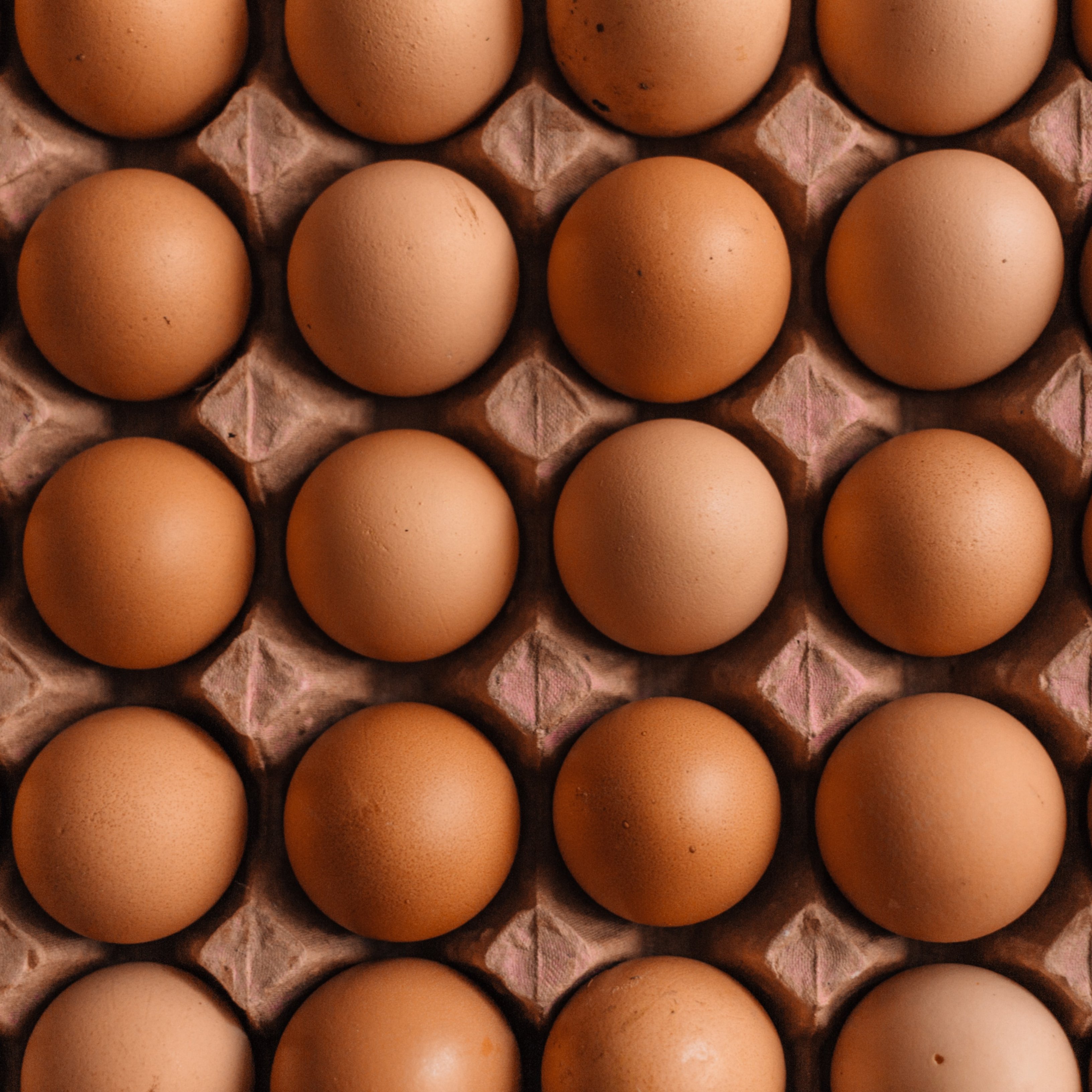 El que has de saber per conservar ous en diferents formats