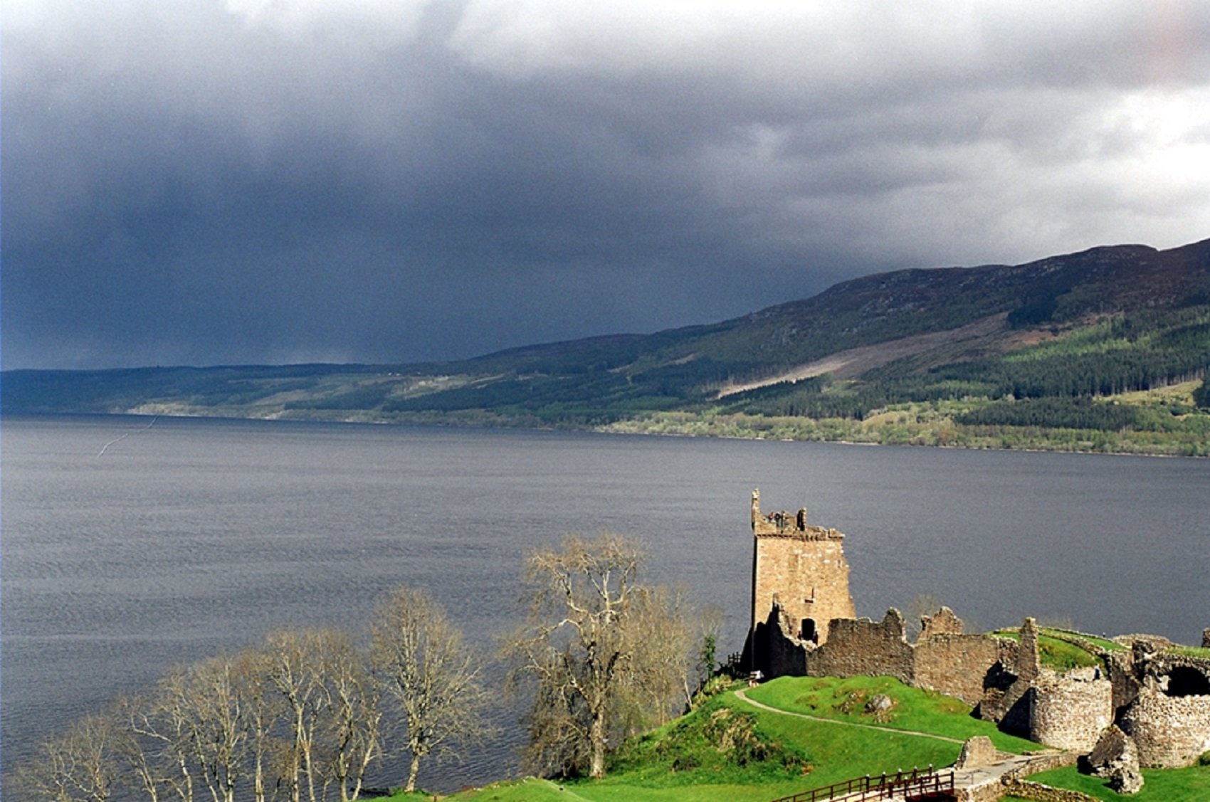 El monstruo del Lago Ness podría ser una anguila gigante