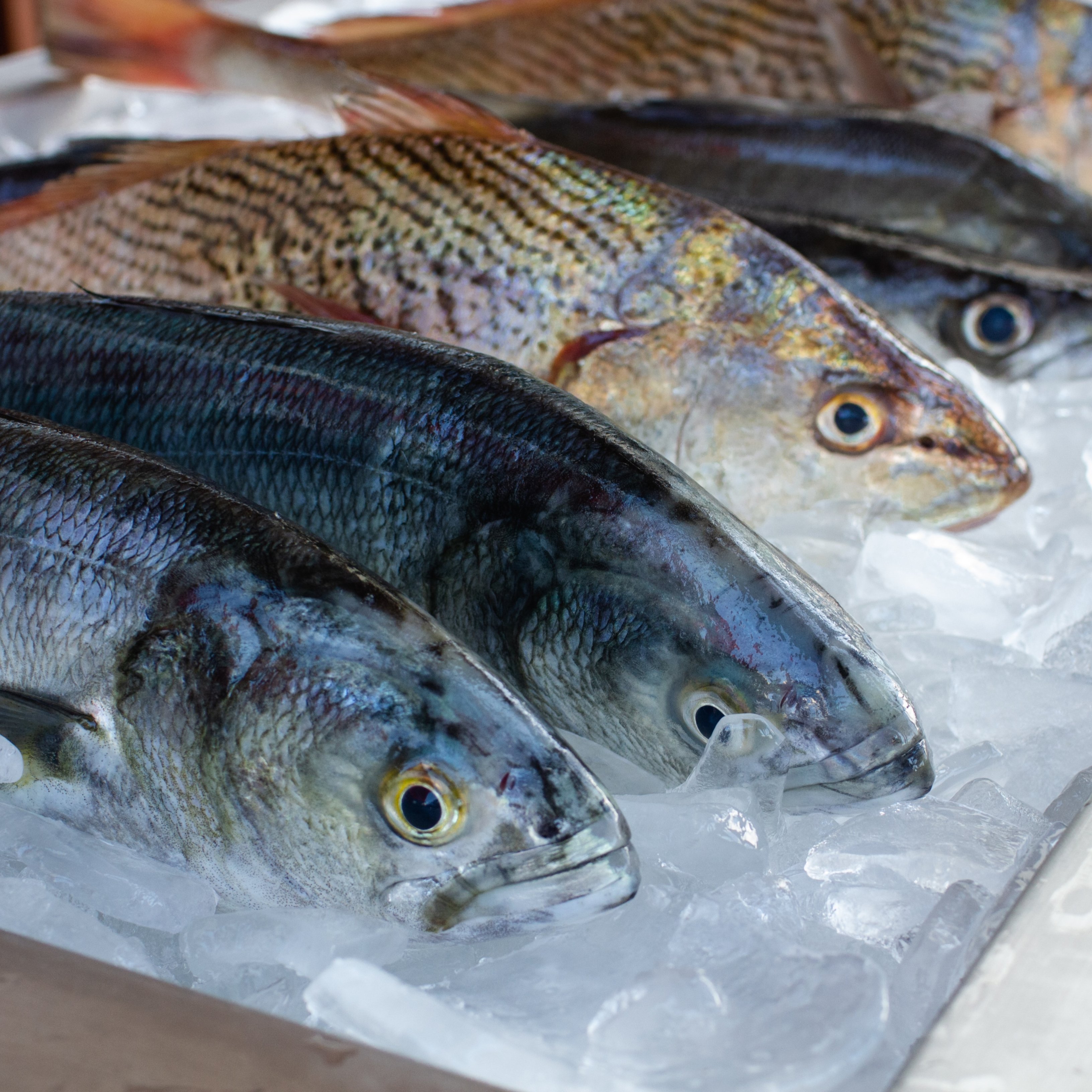 Coneix la dieta pescetariana, els seus beneficis i els seus riscos