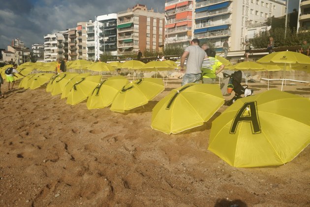 Lazos amarillos Blanes - ACN