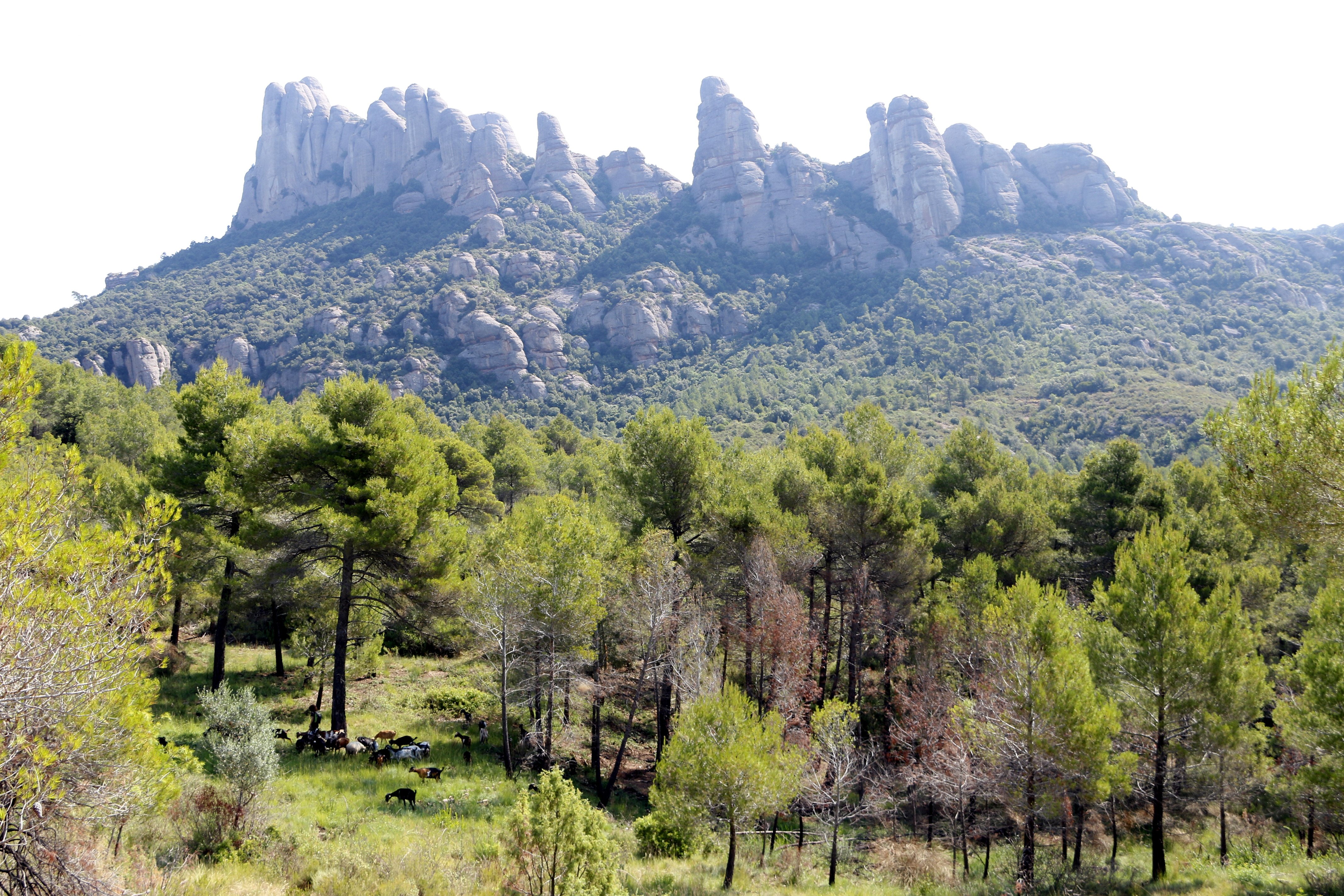 Suspenden el acto de iluminar las agujas de Montserrat por la previsión de lluvia