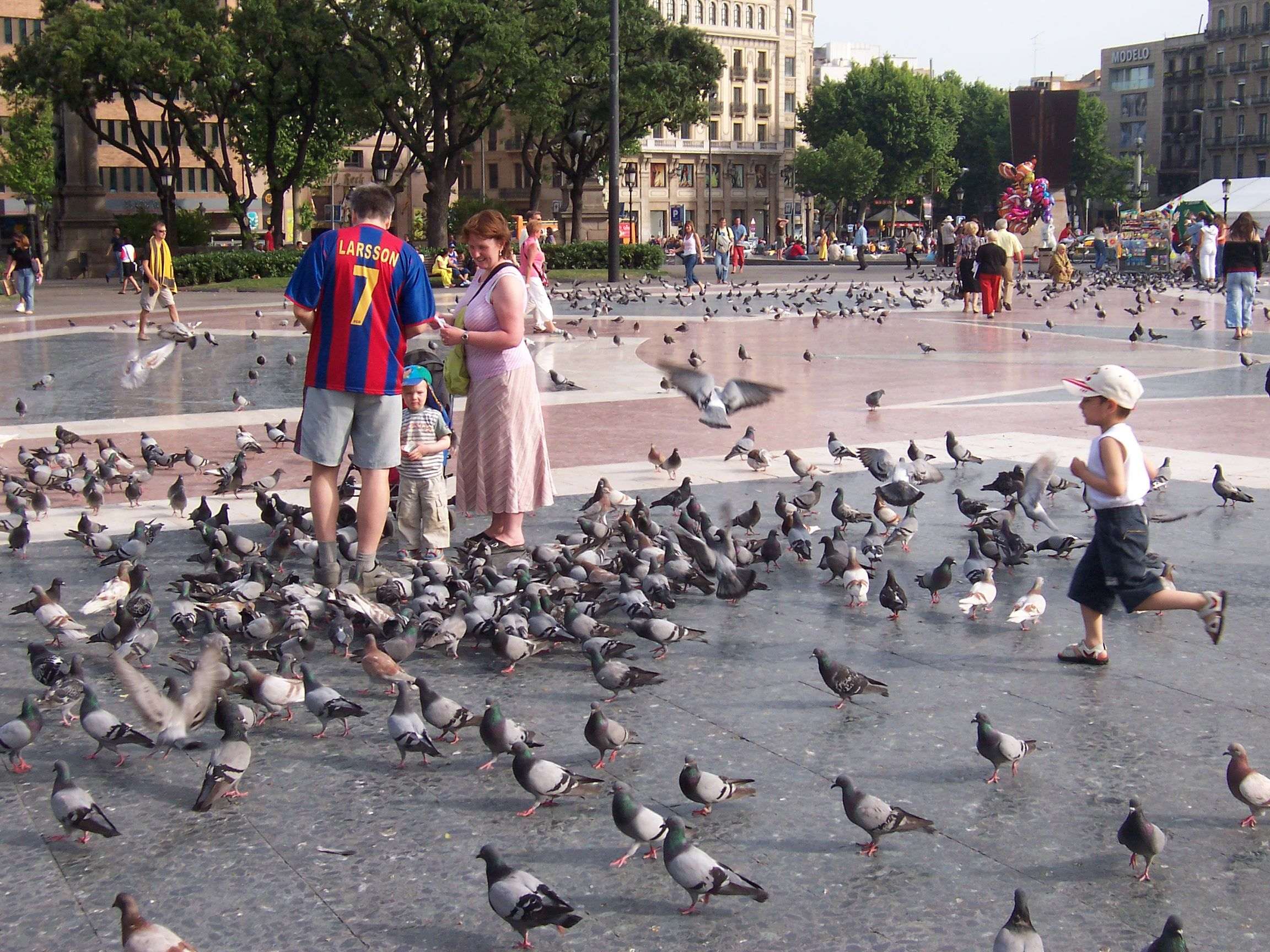Incapacitada una guía turística por inhalar excrementos de paloma en Plaça Catalunya