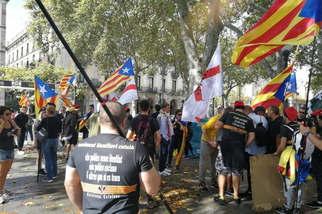 Moviment identitari català Diada 2019   Anna Solé