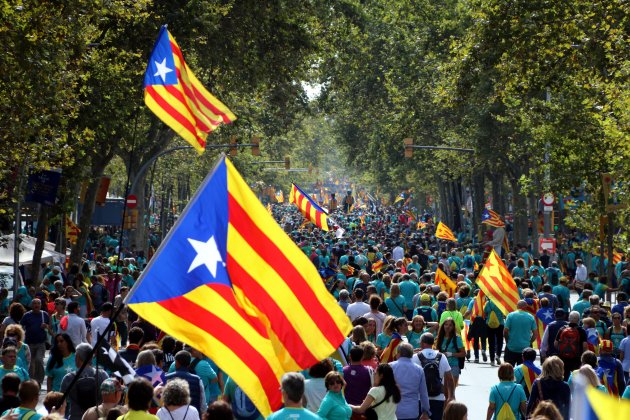 manifestacio diada 2019 estelada - acn
