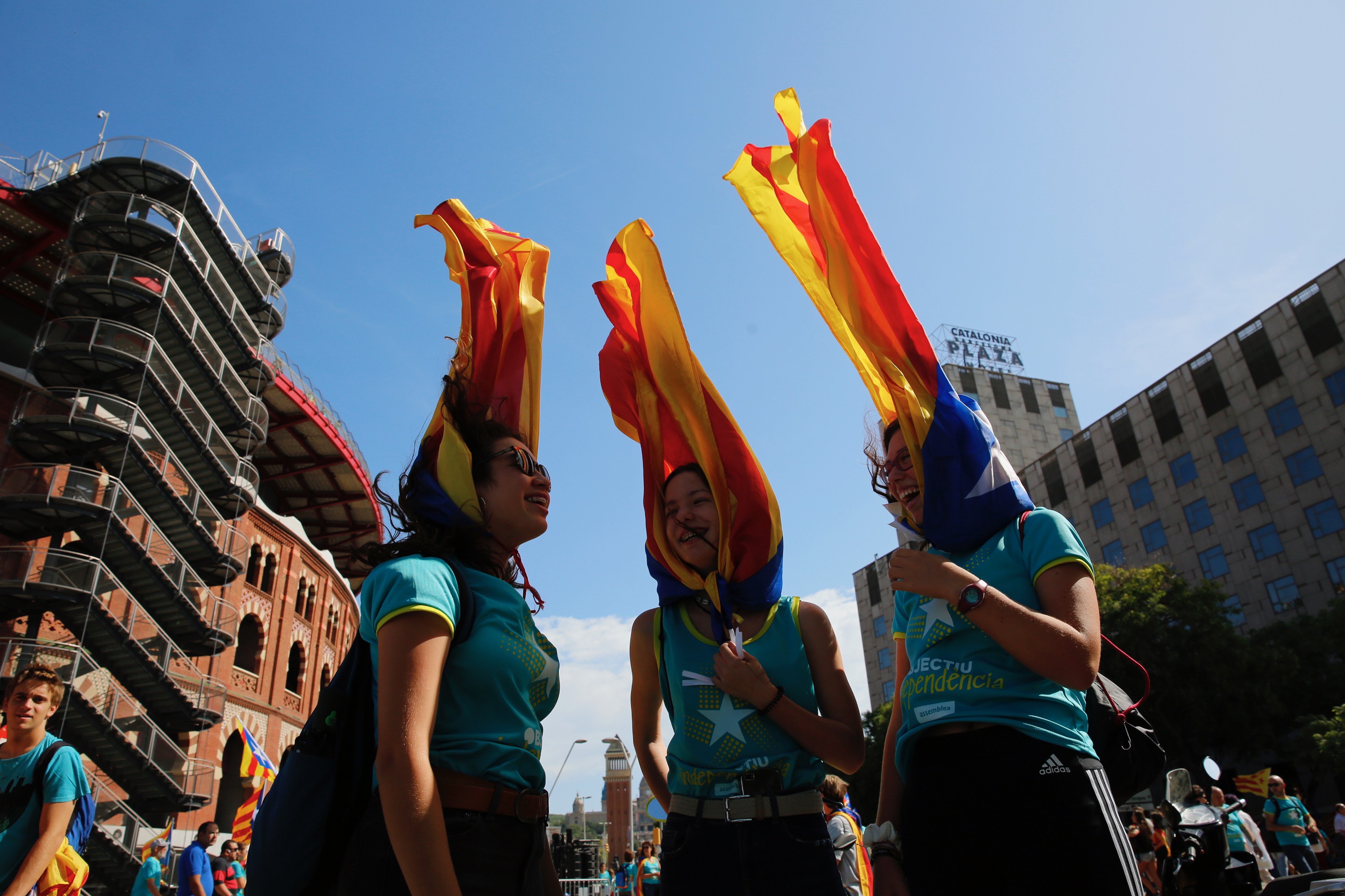 VIDEOGALERIA | La Diada en 10 fotos