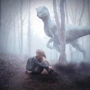 raptor 4452140 raptor 4452140