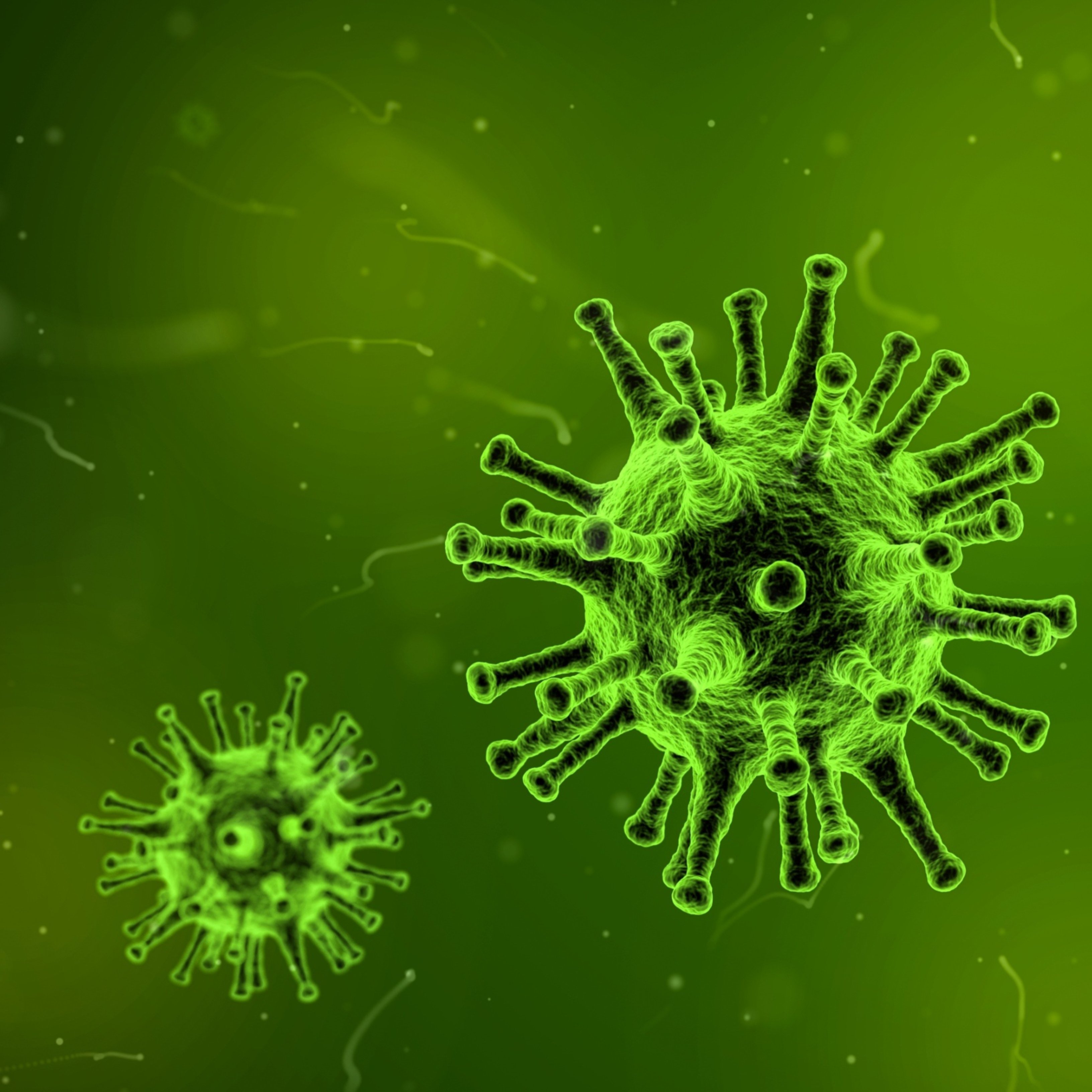 Comprova si t'hauries de vacunar contra la grip