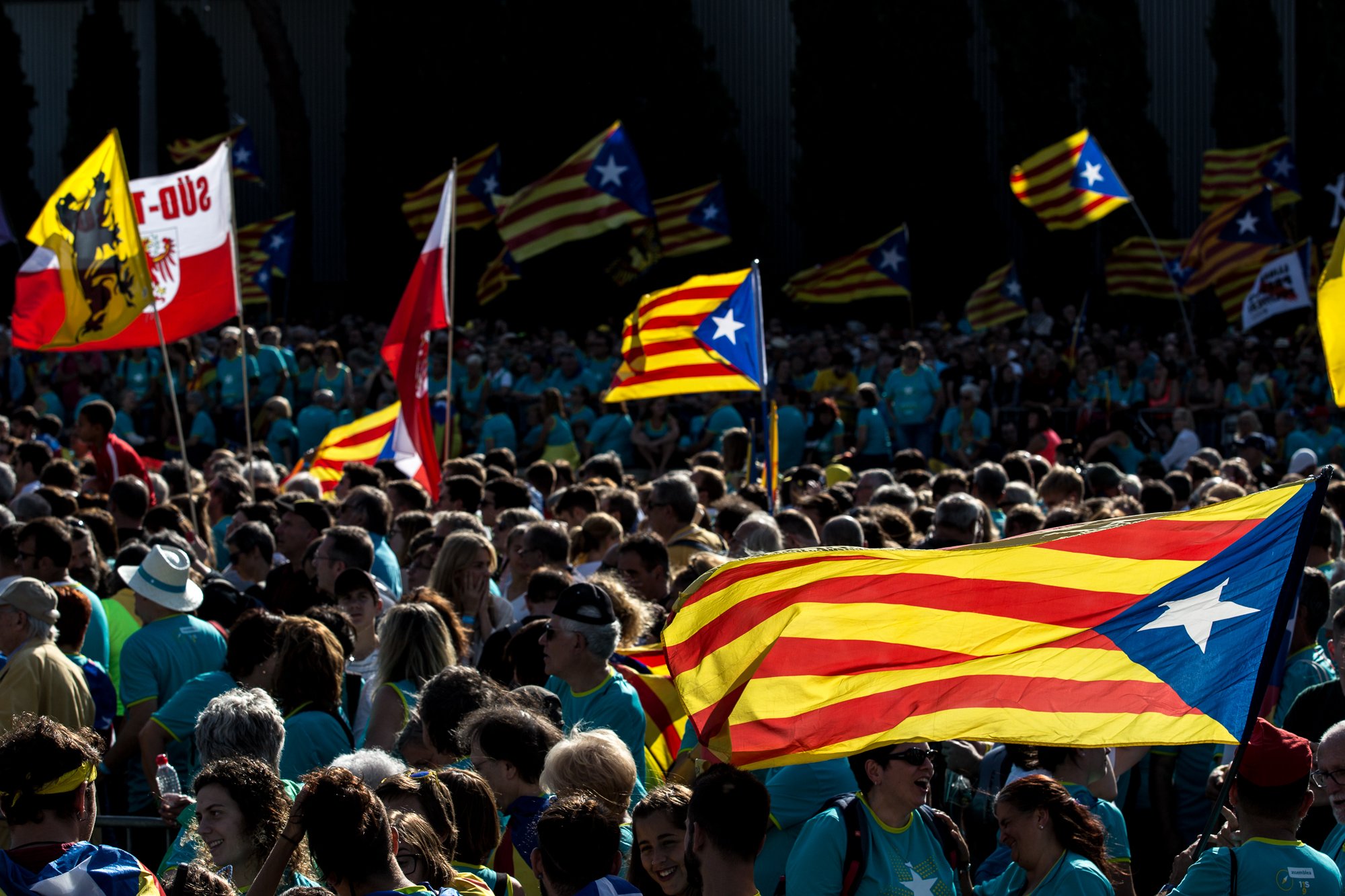 The ANC's plans for Catalan National Day: 48,000 people in 102 different rallies