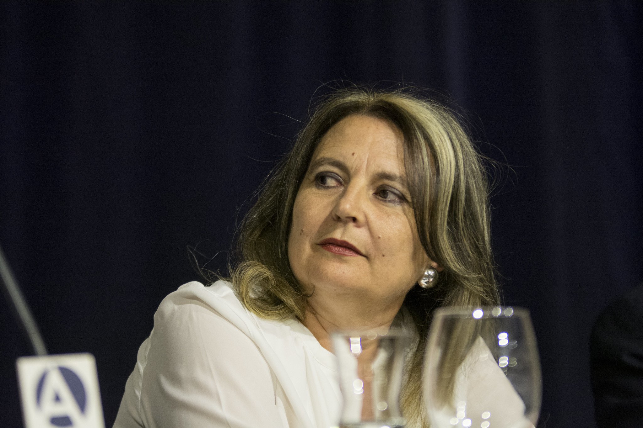 Espasa premia una obra de Elvira Roca contra los "prejuicios hispanófobos"