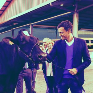 Visita de Pedro Sánchez a una granja a Astúries, oct 2015 (FSA PSOE) Visita de Pedro Sánchez a una granja a Astúries, oct 2015 (FSA PSOE)
