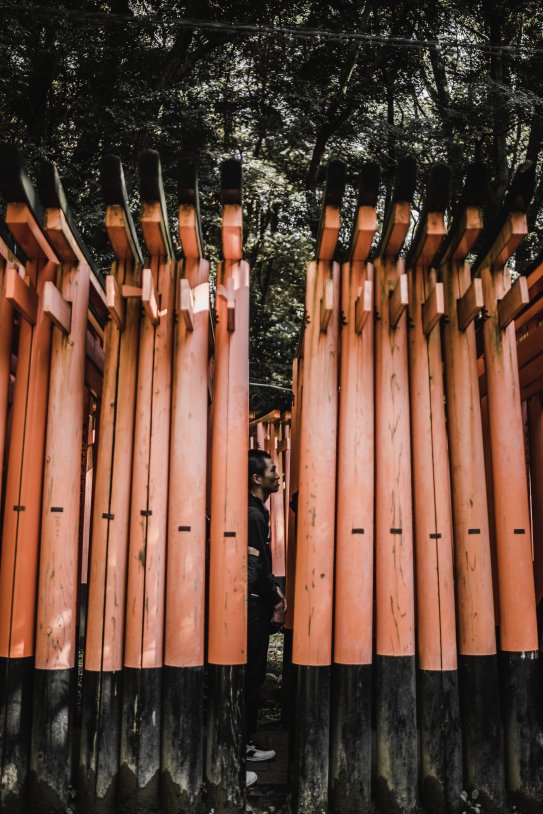 fushimi inari taisha - unsplash