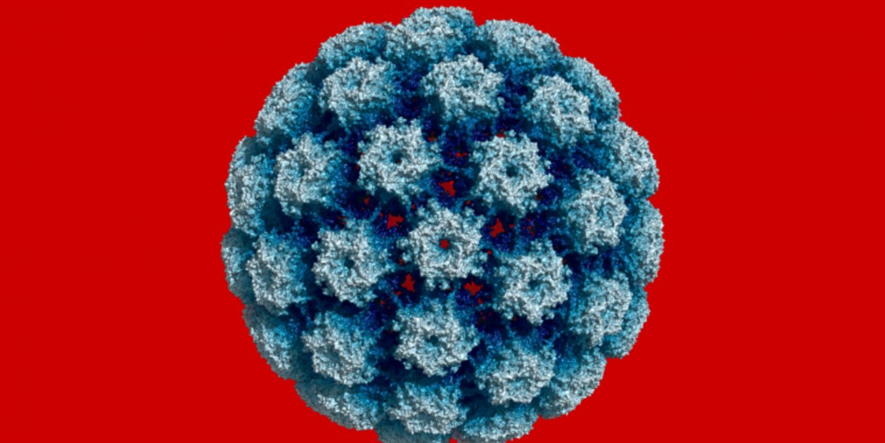 Virus del papil·loma humà