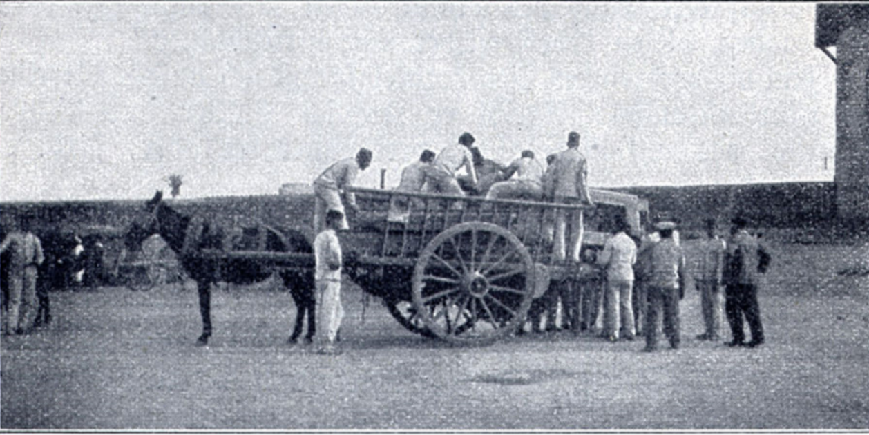 Transporte de heridos con carro. Autor desconocido. Publicada en el Zeitschrift Deutscher Hausschatz. Fuente Wikimedia Commons