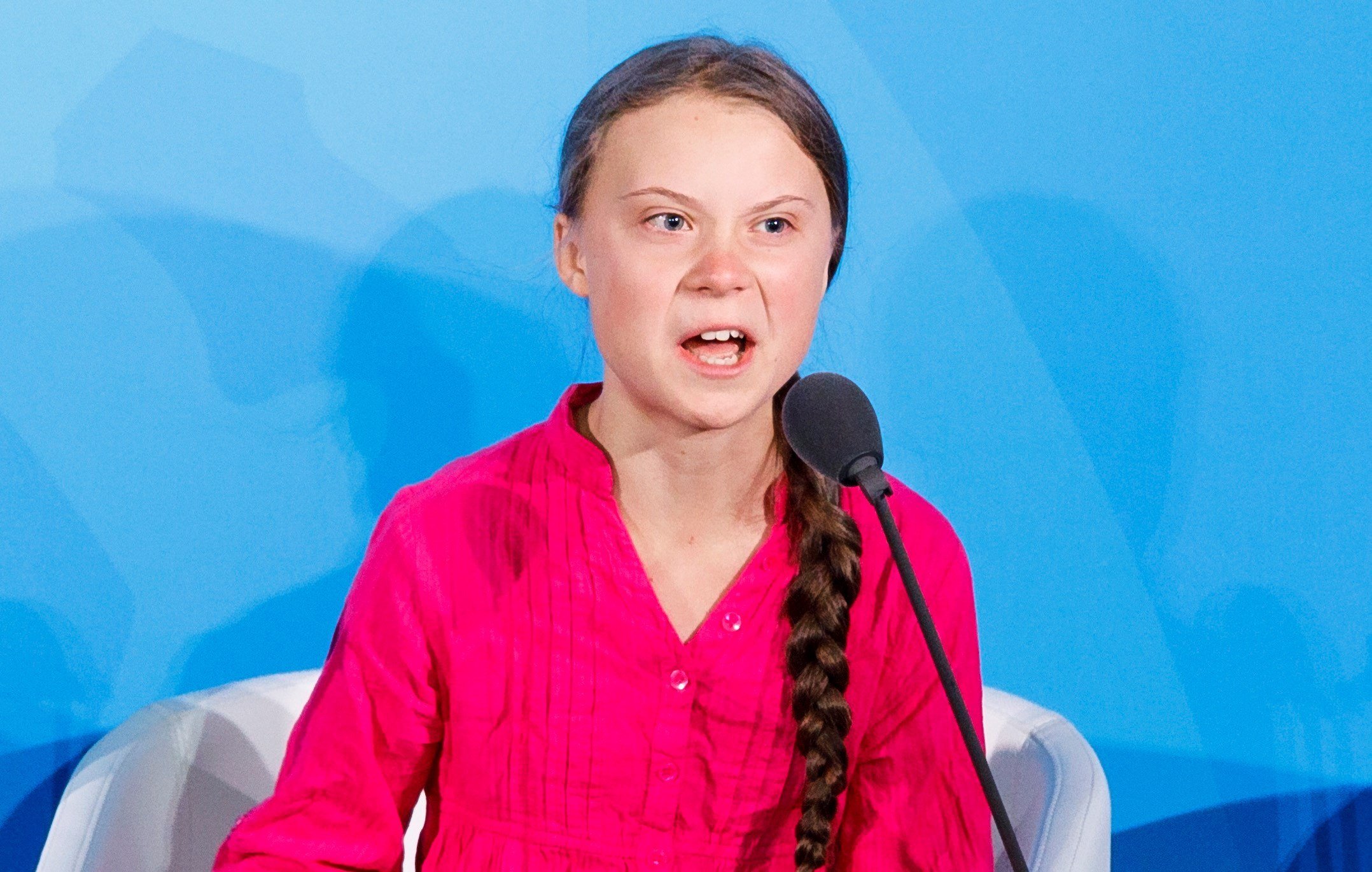 Una fundació taurina convida Greta Thunberg a conèixer el toro de lídia