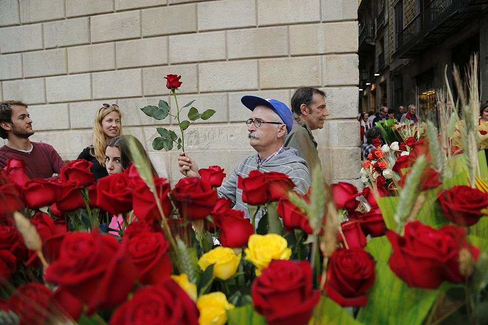 GALERÍA: Las fotos del Sant Jordi 2016