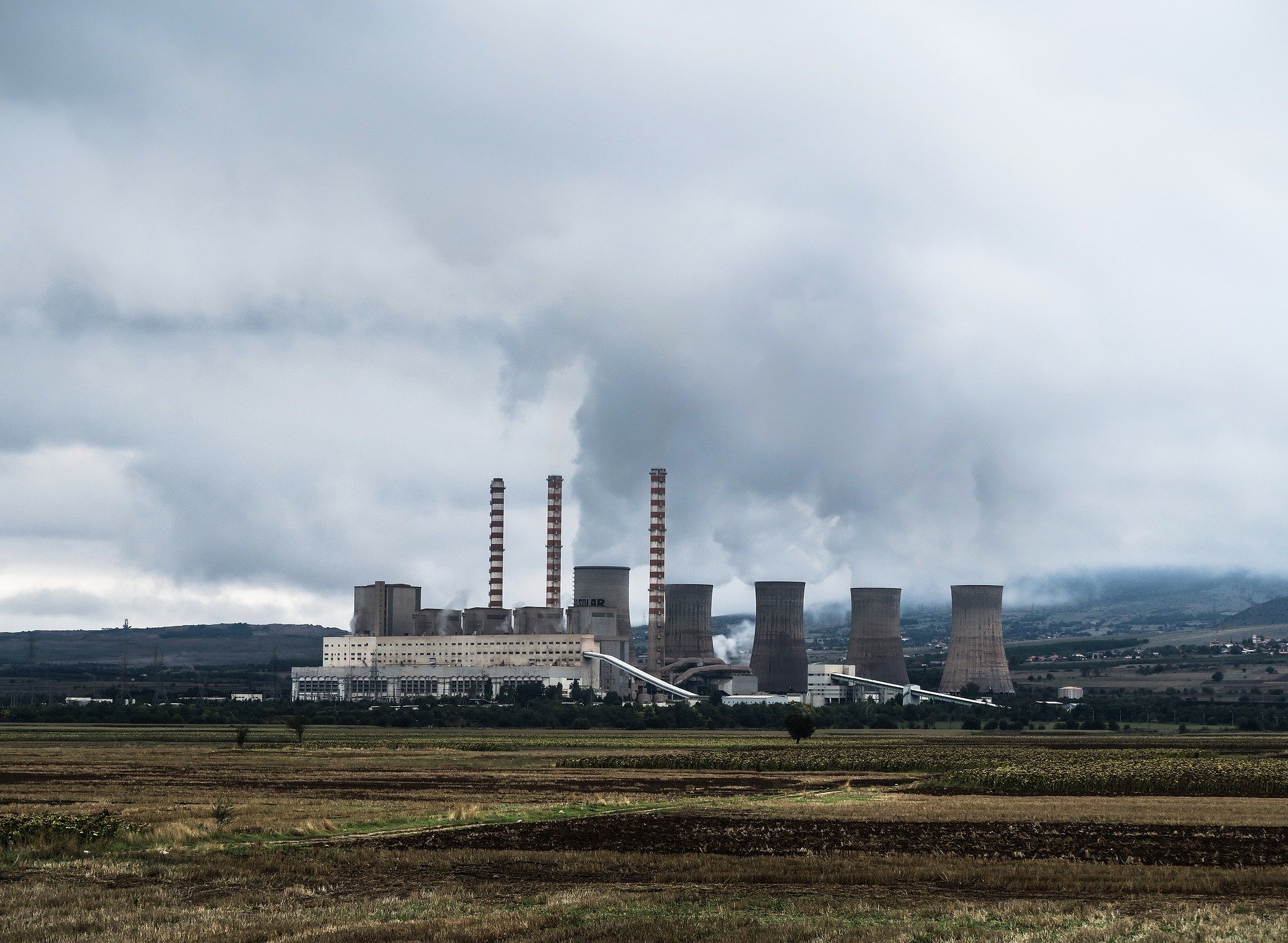 Cómo limitar el aumento de temperatura mundial, según el movimiento F4F