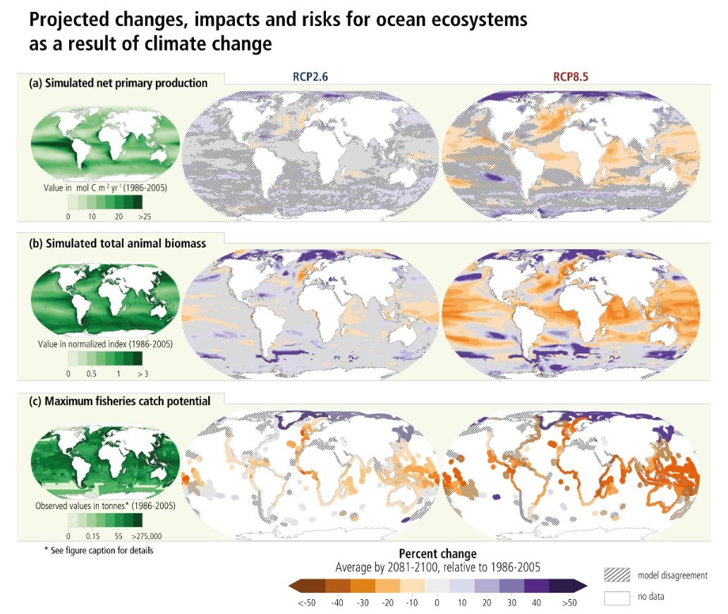 ipcc cambio climatic