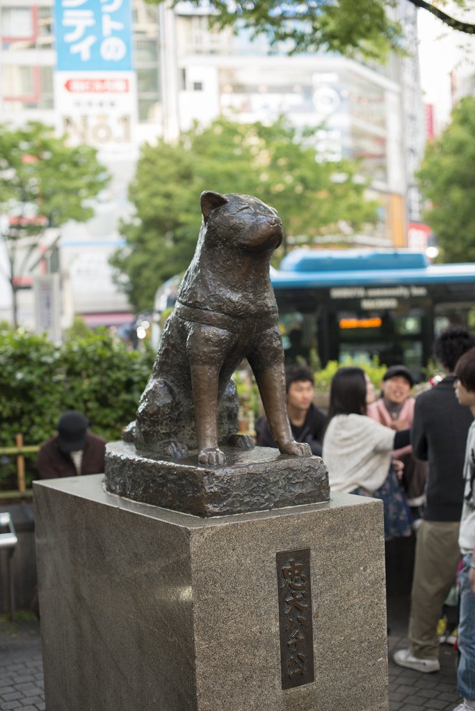 hachiko estatua