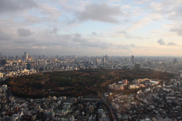 Yoyogi Park from Hyatt - Wikipedia