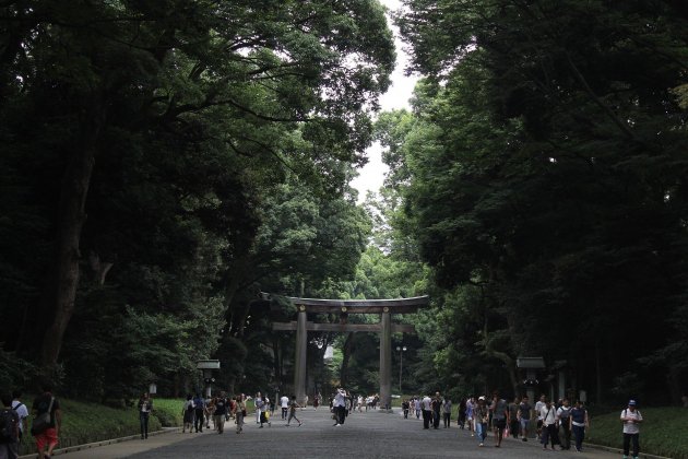 yoyogi park pixabay