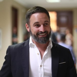 santiago abascal vox - europa press santiago abascal vox - europa press