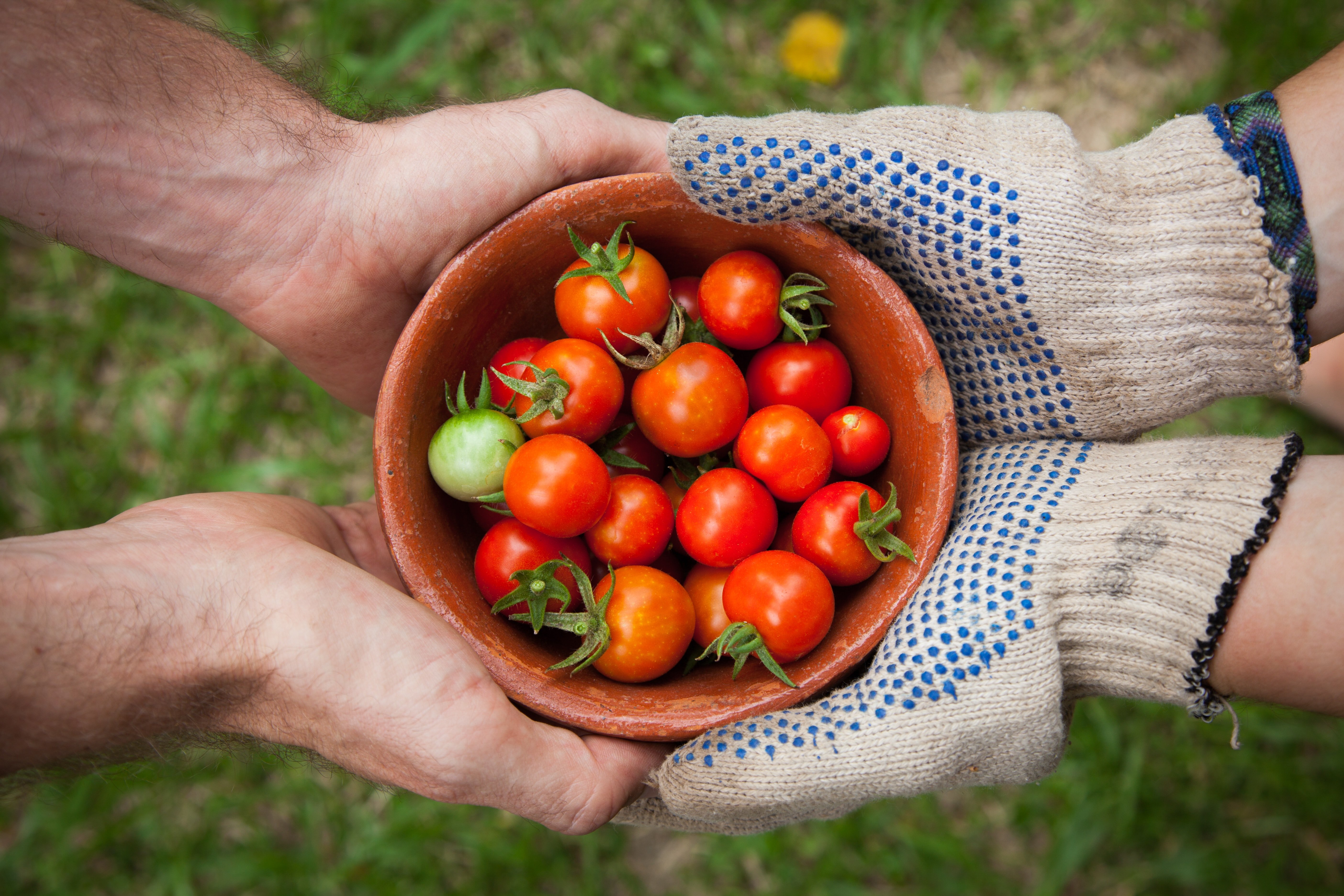 La Setmana Bio arriba un any més per promoure el consum de productes ecològics de proximitat