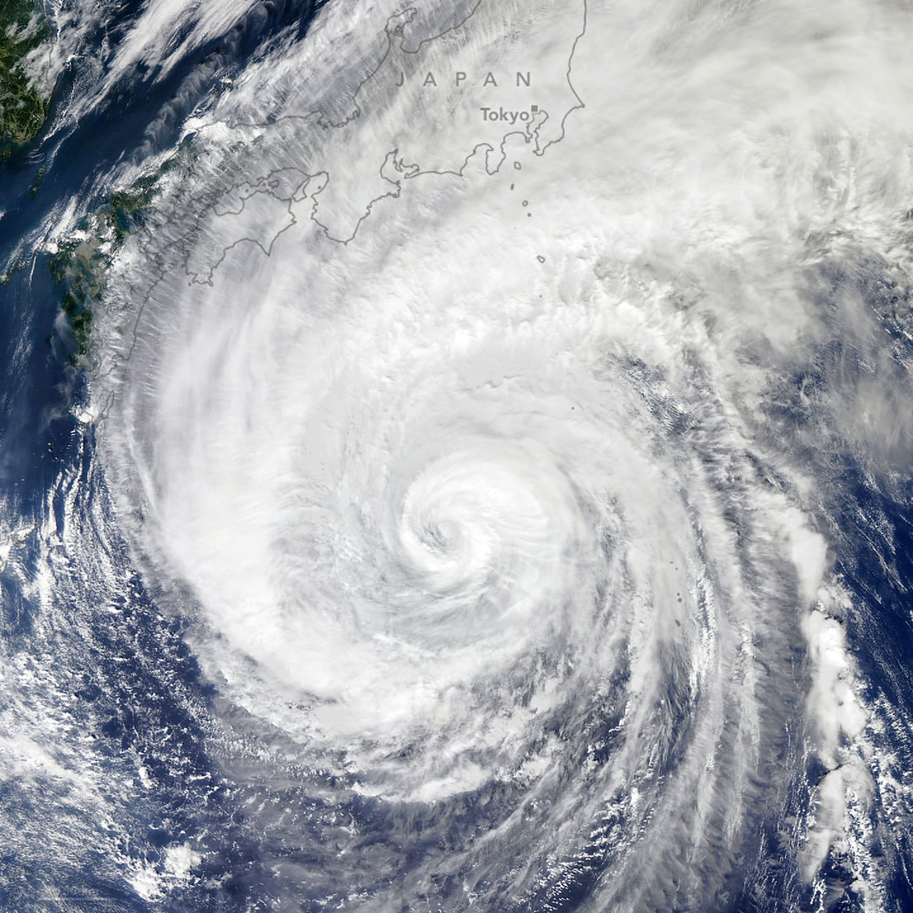 El tifó Hagabis interromp la Fórmula 1 i el Mundial de Rugbi al Japó