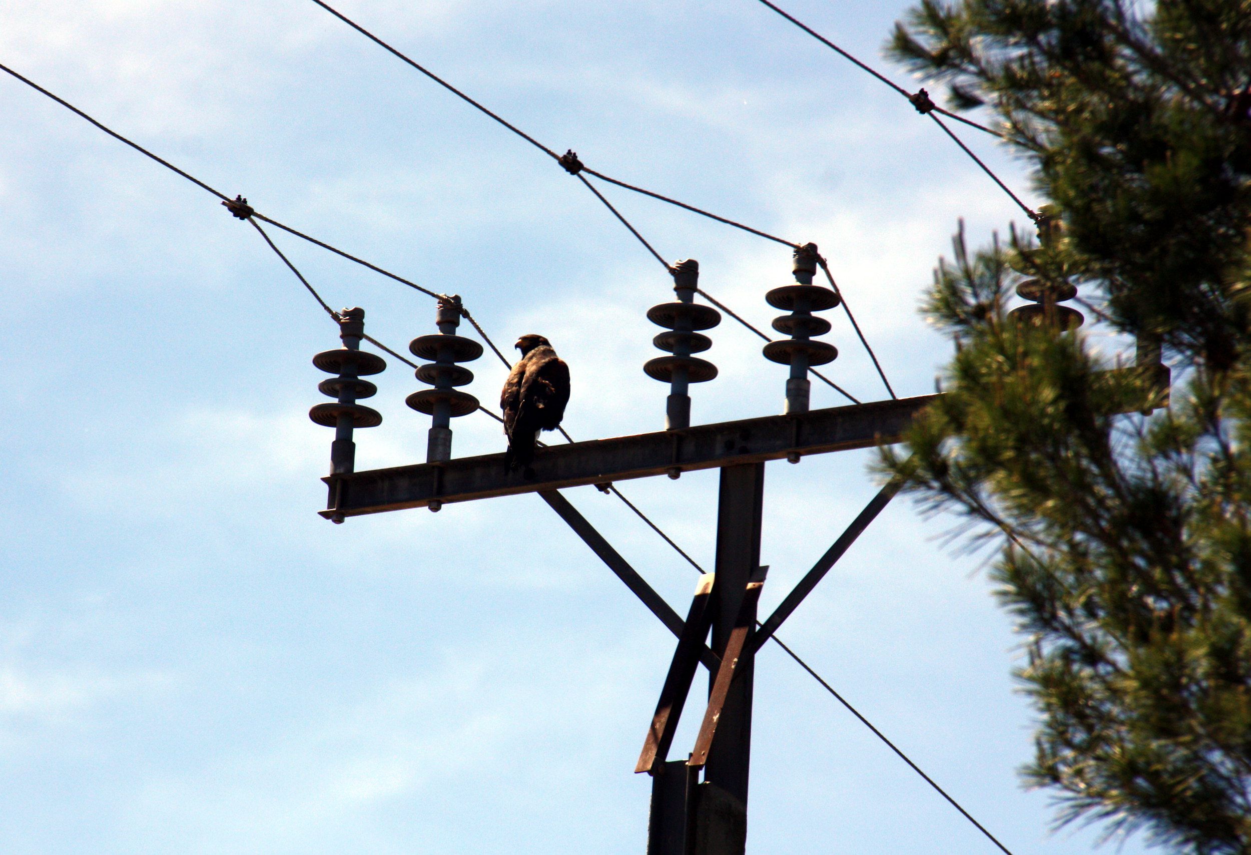 El preu de l'electricitat se situa aquest dimecres en màxims de l'any