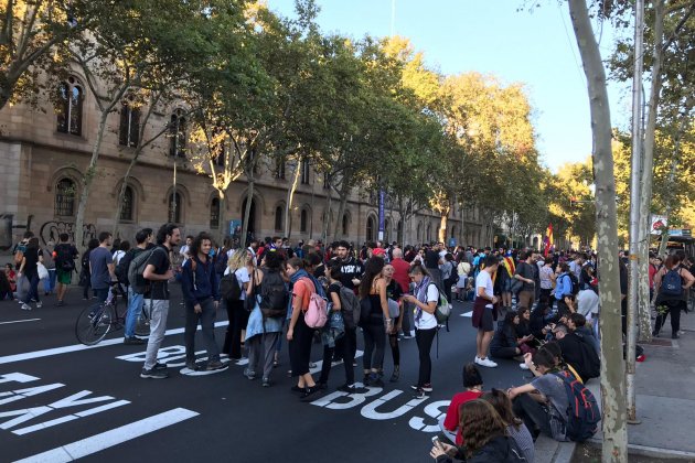 CDR plaça universitat