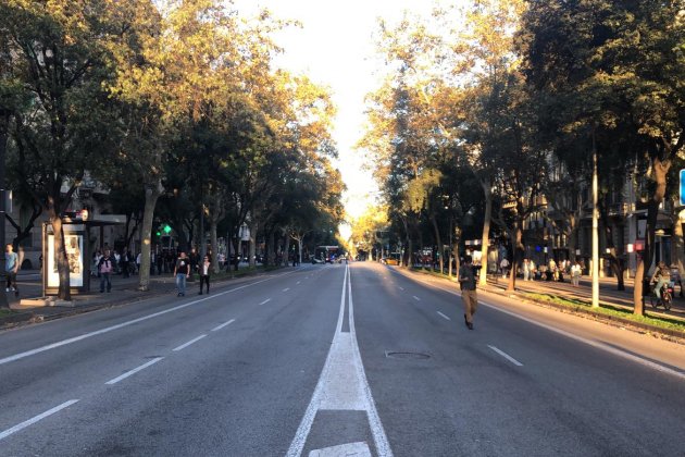 cdr jardinets gracia resposta sentencia - celia forment