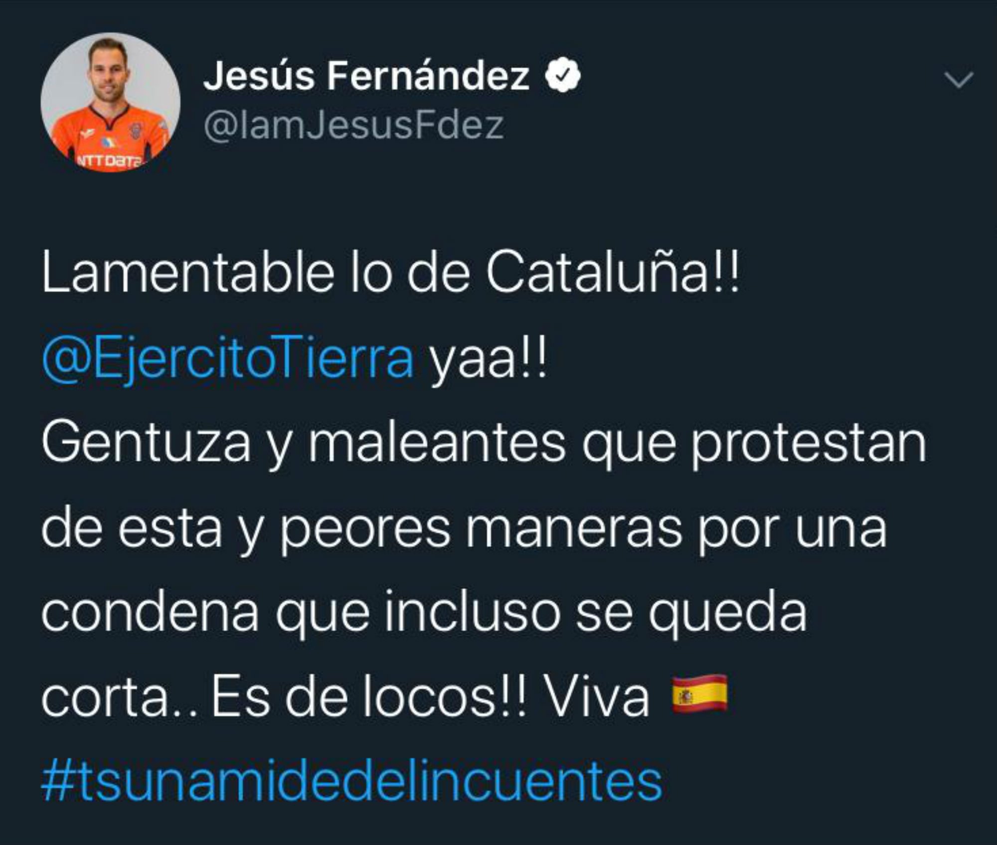 jesus fernandez tsunami democratic @IamJesusFdez